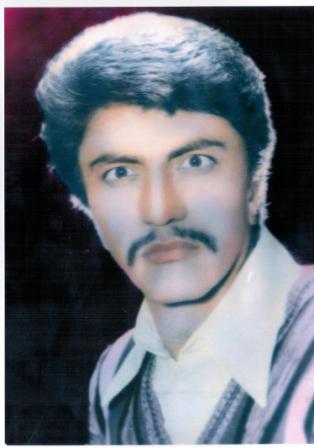 محمد افضلی